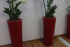 ctpsaksilar8